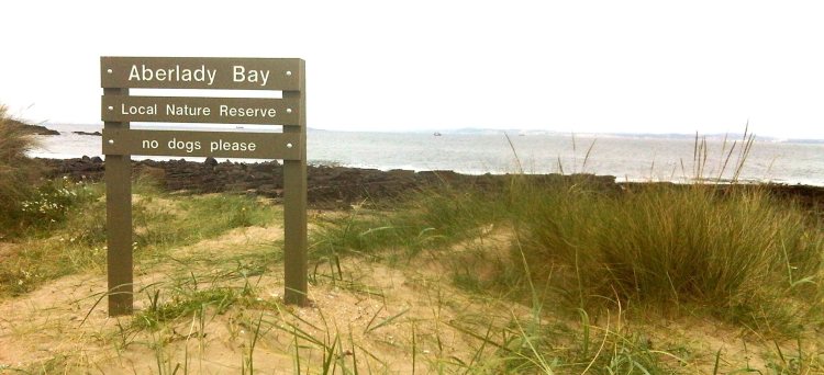 IMG00140-20090914-0925