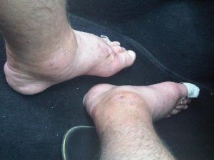 IMG00248-20091019-1617